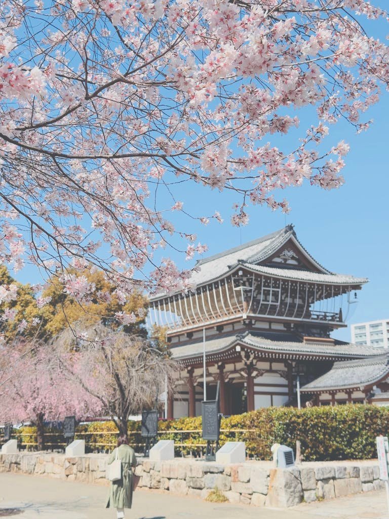 The ultimate 2-week Solo itinerary: highlights in Japan