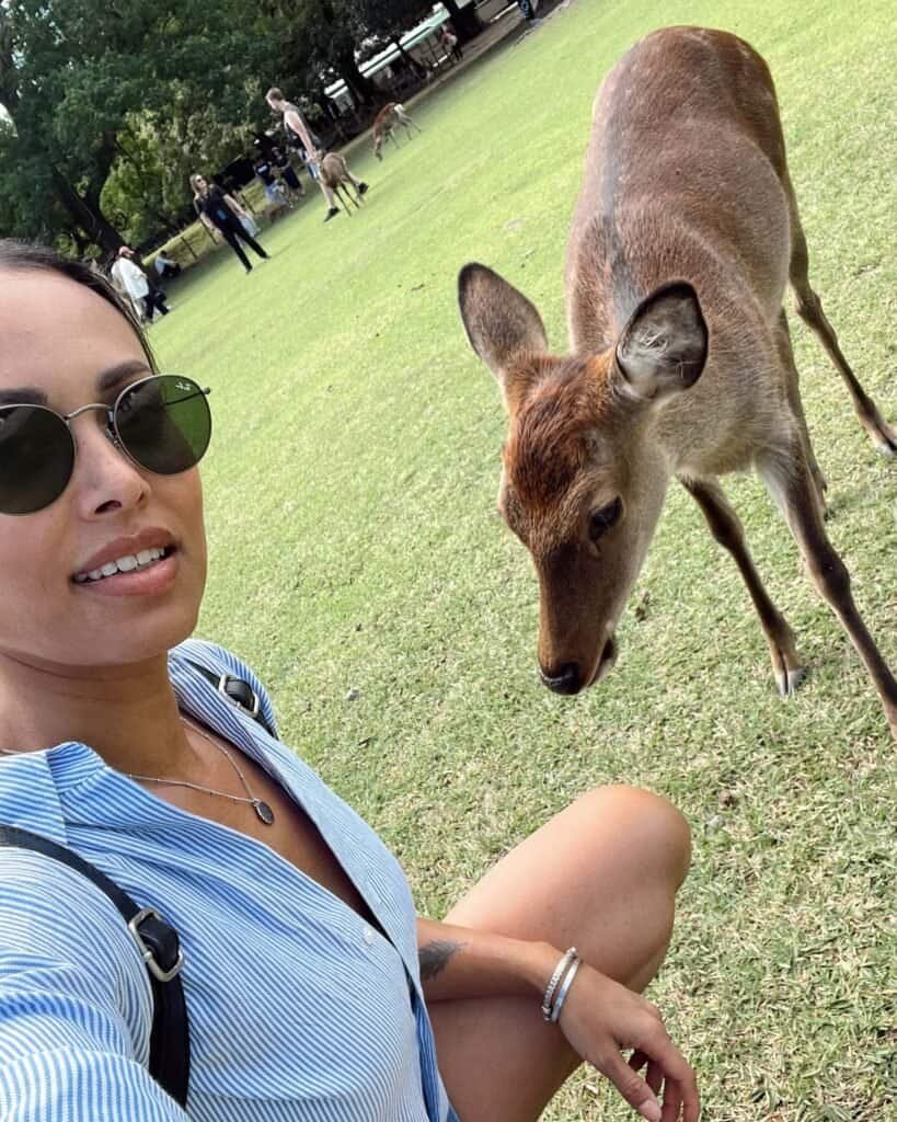 nara deer park kyoto 2-day itinerary kyoto