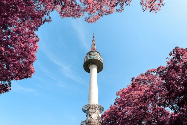 Low-Angle Photo of N Seoul Tower